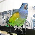 DSCN0431