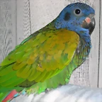 DSCN0475
