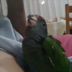27092011221