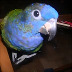DSCN0219