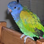 DSCN0414