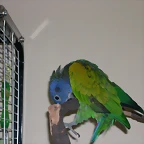 DSCN0454