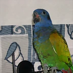 DSCN0497