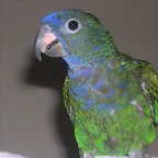 DSCN0154