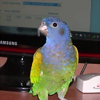 DSCN0387