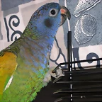 DSCN0423