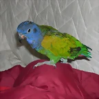 DSCN0444