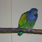 DSCN0461