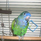 DSCN0135