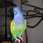 DSCN0416