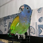 DSCN0432