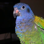 DSCN0448