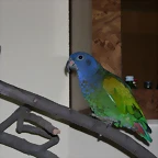 DSCN0455