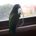 DSCN0501