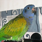 DSCN0425
