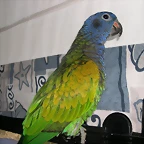 DSCN0427