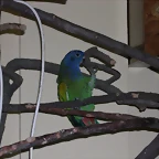 DSCN0462