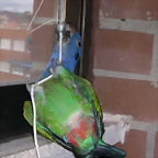 DSCN0485