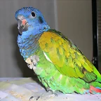 DSCN0470