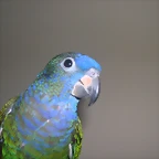 DSCN0165