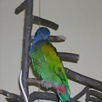 DSCN0452
