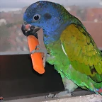 DSCN0480