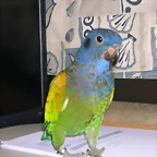 DSCN0476