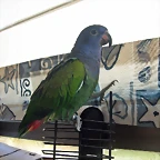 DSCN0429A