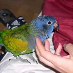 DSCN0436