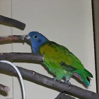 DSCN0459