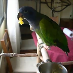 DSCN0465