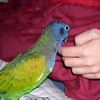 DSCN0438