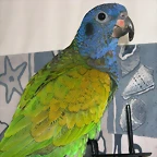 DSCN0477