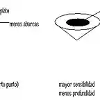 ejemplo del sensibilidad