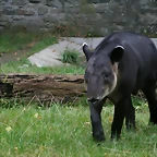 Zoos Wuppertal, Dortmund y Gelsenkirchen 01-10-09 040