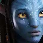 Neytiri hermosa