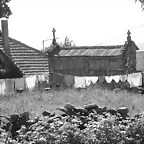 83-IMG_1463