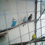 IMG_20171230_120836_088
