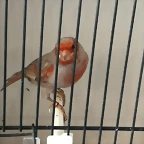 IMG_20170122_124557