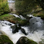 DSCN5770
