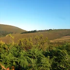 DSCN7703