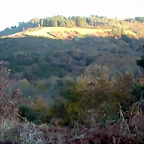 DSCN6673