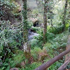 DSCN8464