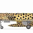 cheetah-c4