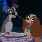 LadyTramp5