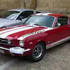 mustang 055