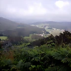 DSCN5785