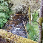 DSCN9744