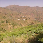 IMAG0085