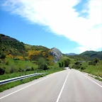 DSCN6879